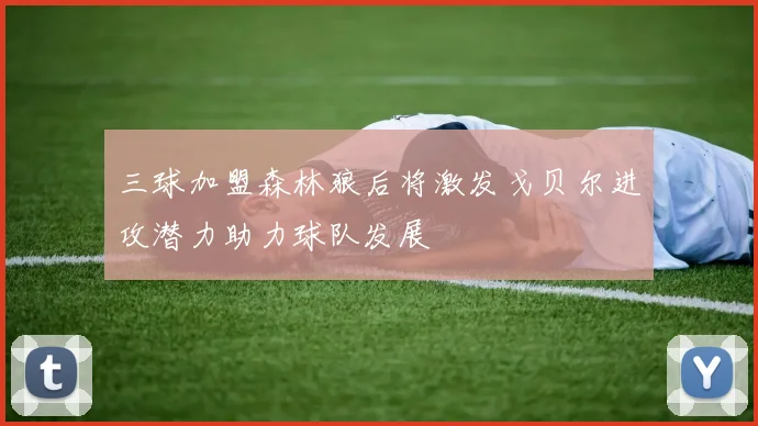 三球加盟森林狼后将激发戈贝尔进攻潜力助力球队发展